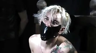 Nicky bondaged coupled with ball gagged