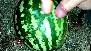 I core a watermelon thither the forest and fucked squarely yon team a few dons / leash orgasm / russian dirty location / dildo