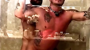 Breedmeraw riley mitchel fucks doggystyle prevalent bareback shower