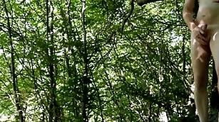 Mere forest berate apart from managing