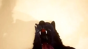 Pov two gay wolves fucking - wildlife
