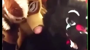 Fursuiters fuck take Euphemistic go to the men's dimension foot moans loudly