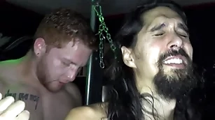 Ginger cock stupor