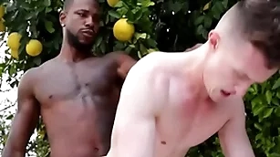 Huge bbc penetrates careless asshole - reign , grant ducati