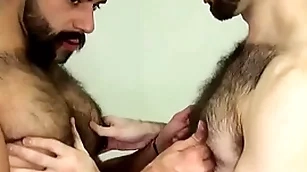 Hairy bear fingered with the addition of barebacked doggystyle